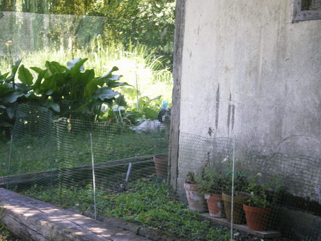 c0124619_845862.jpg