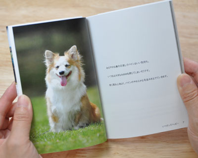 てのひらぶんこ「いつだってハッピー」_d0102523_0263298.jpg