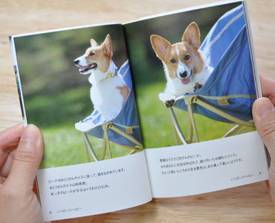 てのひらぶんこ「いつだってハッピー」_d0102523_026432.jpg