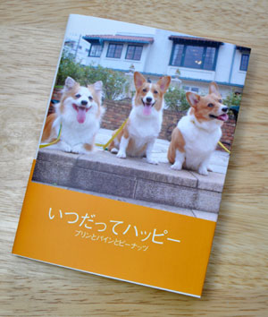 てのひらぶんこ「いつだってハッピー」_d0102523_026960.jpg