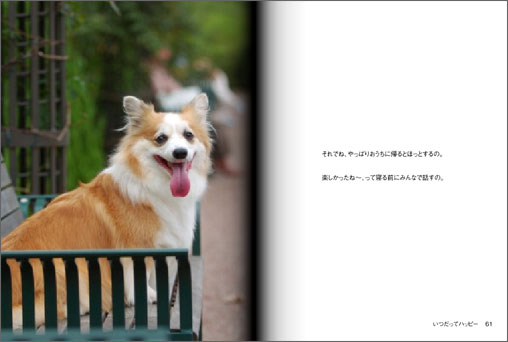 てのひらぶんこ「いつだってハッピー」_d0102523_0275391.jpg