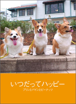 てのひらぶんこ「いつだってハッピー」_d0102523_027718.jpg
