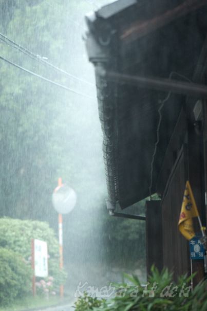 強烈雨！_e0170925_11591733.jpg