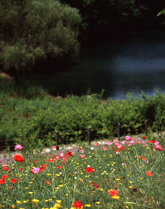 2010-7-8　いつかどこかで見た風景_c0136330_021301.jpg