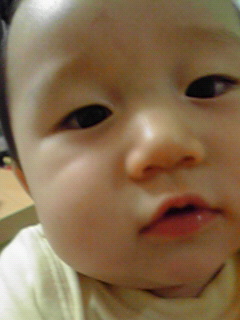 a0075133_0441275.jpg