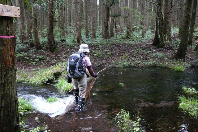 長坂道で登る笙ヶ岳（７月５日）_f0003138_773021.jpg