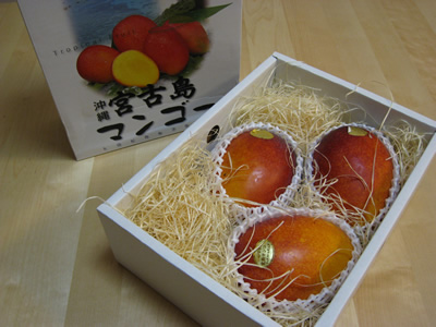 うれしい贈り物02_a0143444_14241332.jpg