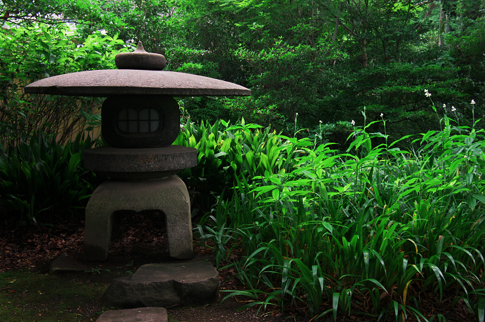 七夕ですね（六義園・前編）_f0155048_071764.jpg