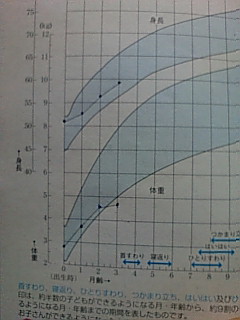発育曲線_f0043861_21102846.jpg