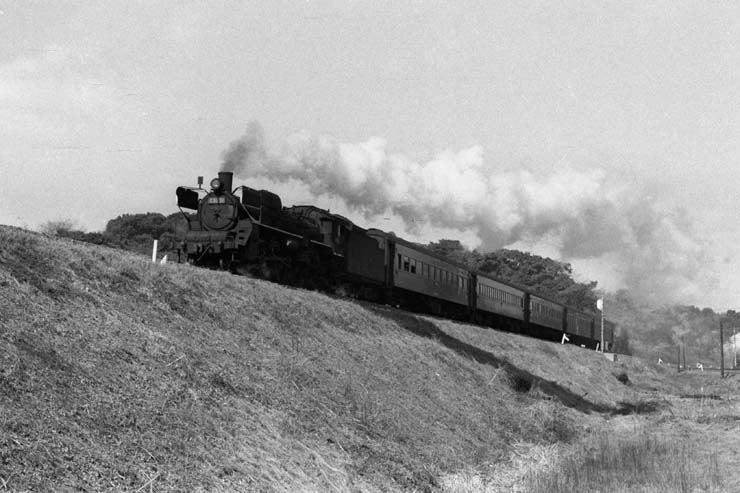 e0019563_742529.jpg