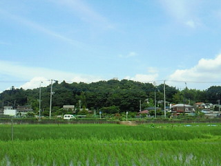 2010.7.8 晴れ_e0041566_21353694.jpg