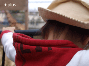 c0148270_1433416.gif