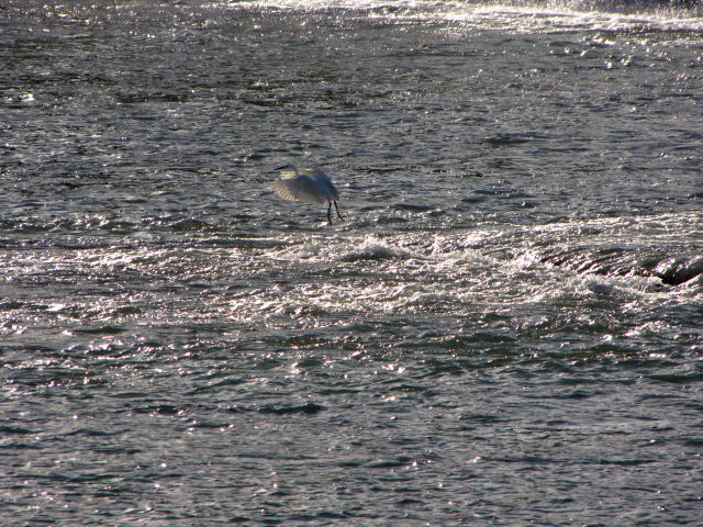 d0079373_11241836.jpg