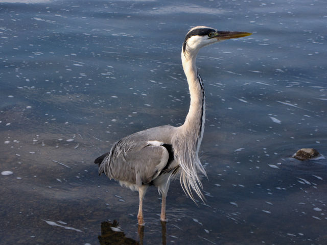 d0079373_11253595.jpg