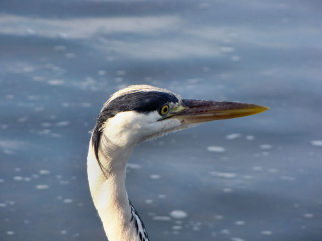 d0079373_1127451.jpg