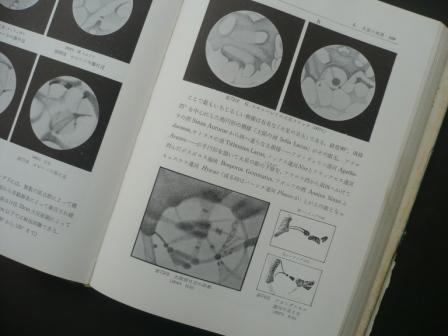 d0163575_14191568.jpg