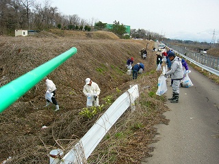 b0164376_15355265.jpg