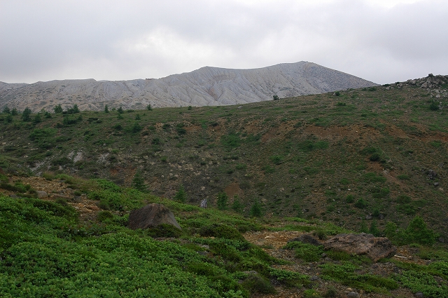 c0212083_22464147.jpg
