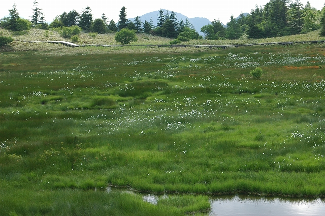 c0212083_22555120.jpg
