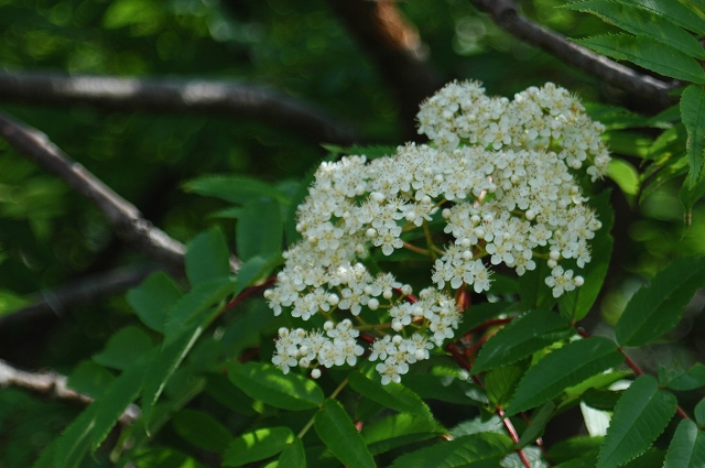c0212083_231372.jpg