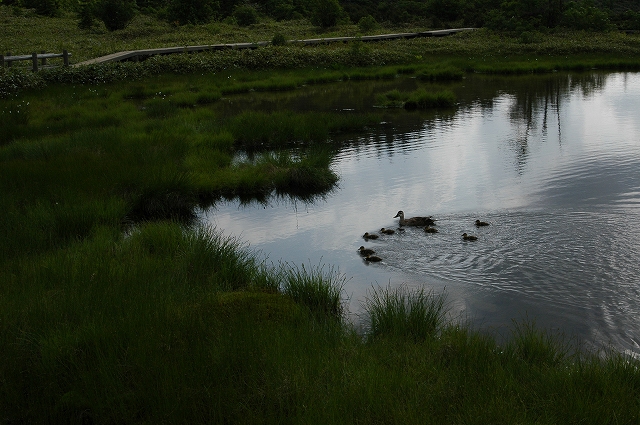c0212083_2392263.jpg