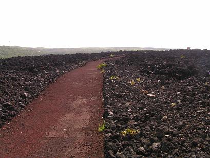 火山遊歩道_c0204385_17203623.jpg