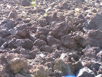 火山遊歩道_c0204385_1721349.jpg