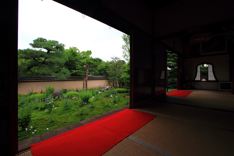 天得院(東福寺塔頭)_e0051888_2249559.jpg