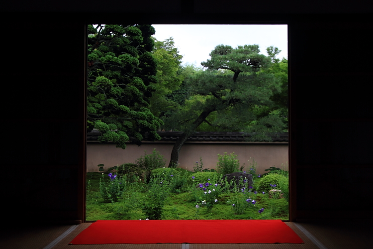 天得院(東福寺塔頭)_e0051888_2250767.jpg