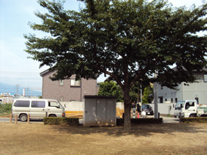 a0123191_18204497.jpg