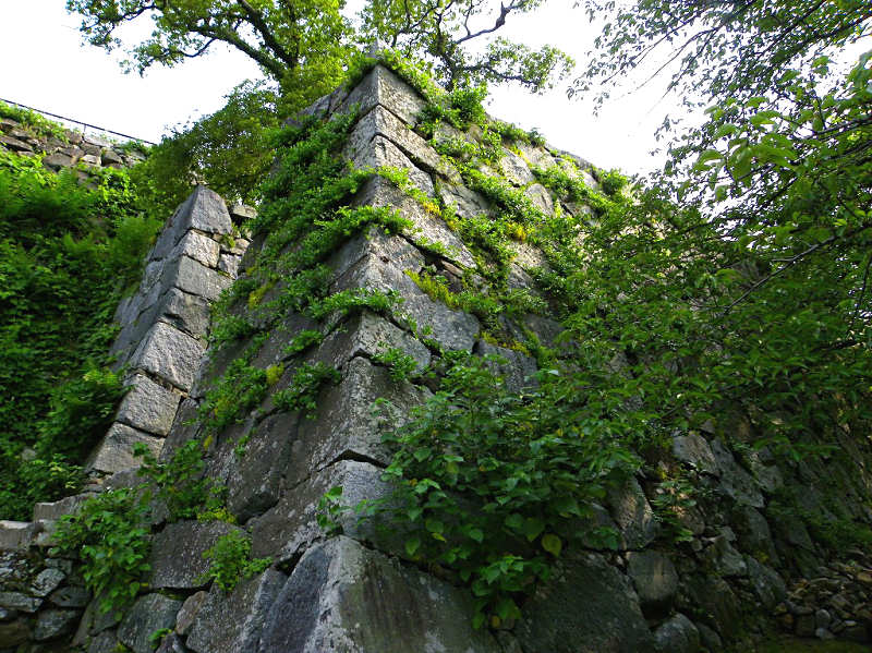 f0204094_224347100.jpg