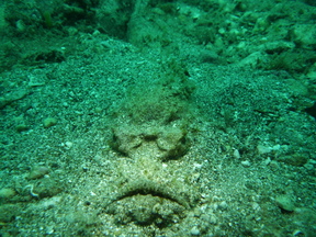 e0115199_13372976.jpg