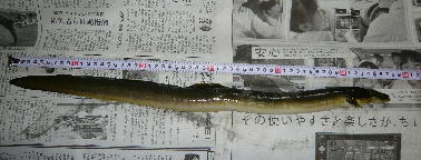 b0137704_152227.jpg