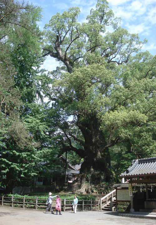 f0084806_9205527.jpg