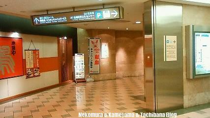 f0167314_23195141.jpg