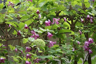 f0170524_18593516.jpg