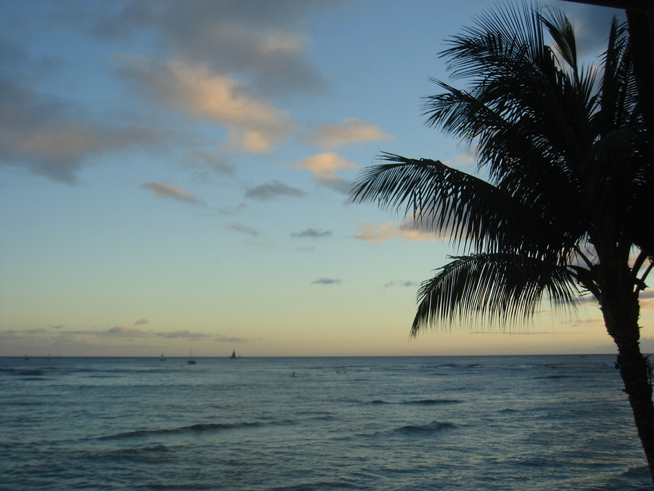 f0215324_2015797.jpg