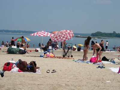 f0200433_13061.jpg