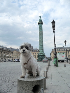 Paris Through Truffle\'s Eyes_c0201334_5102276.jpg