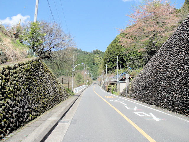 クイズです!さあ、小生さんは何処に行ったのでしょう?_b0136045_83539.jpg
