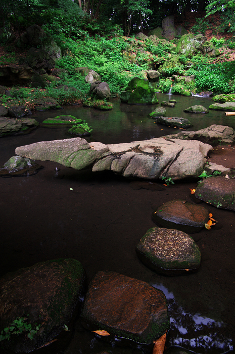 緑の六義園（後編）_f0155048_2357231.jpg