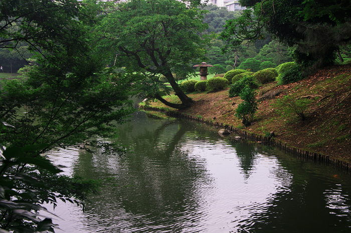 緑の六義園（後編）_f0155048_23574913.jpg