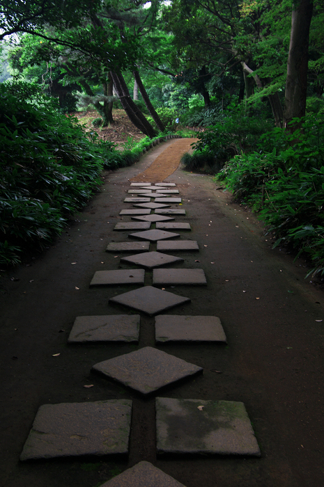 緑の六義園（後編）_f0155048_23581581.jpg