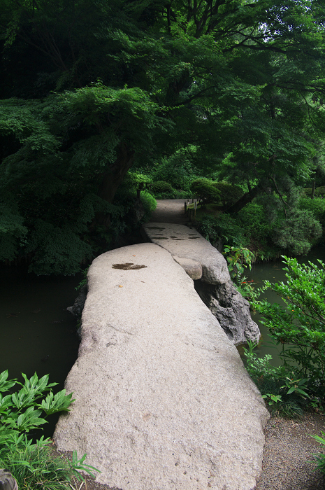 緑の六義園（後編）_f0155048_2359307.jpg