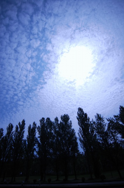 a0147150_2216851.jpg