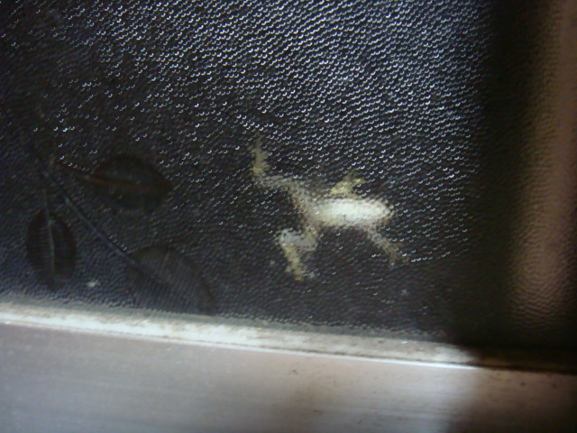 c0074157_23142175.jpg