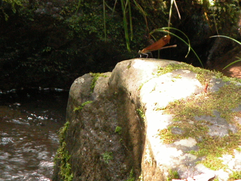 d0176157_06083.jpg