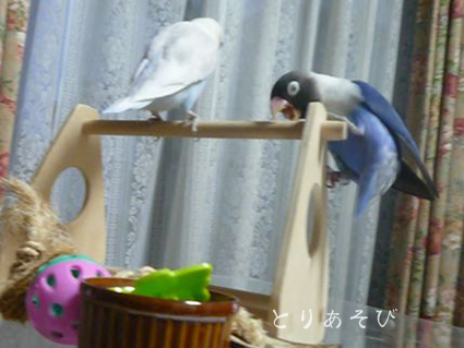 好み? 性格?_e0147757_224745.jpg