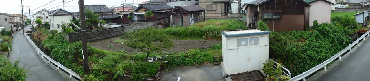 雨の休養日は余計ヒマ！_c0108460_168988.jpg