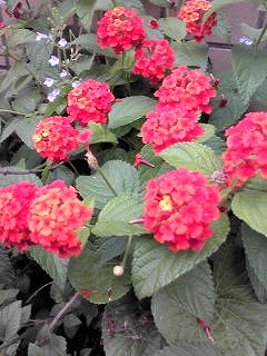 d0052263_025590.jpg